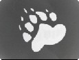 PAW's Logo