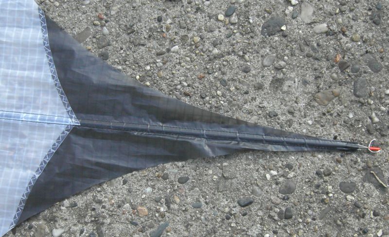 Datei:Skate - Schwanz von hinten.jpg