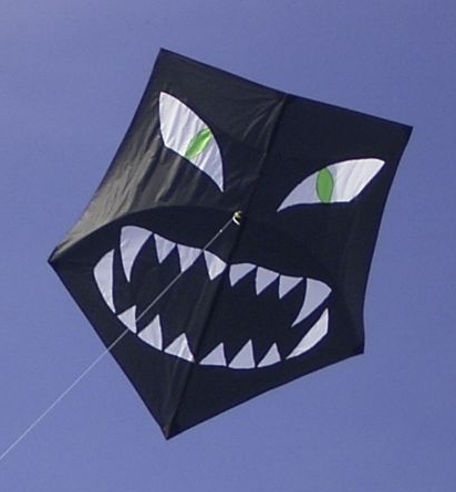 Datei:Fünfeck drachen.jpg