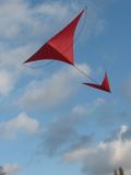 Roter T