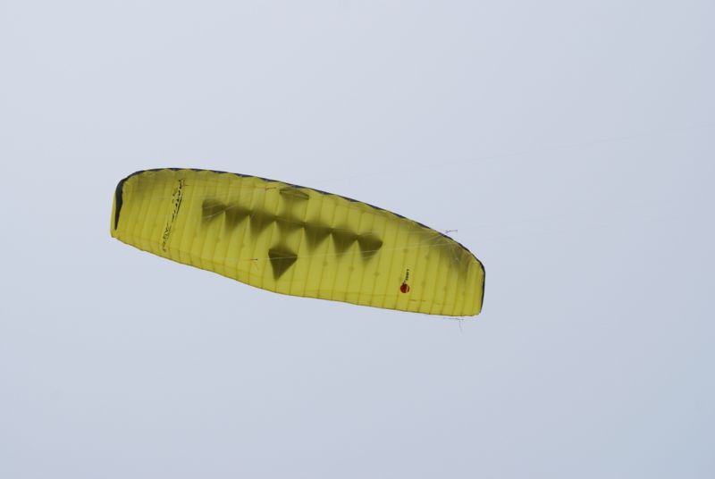 Datei:Libre Vampir Race Pro 5,5m².jpg