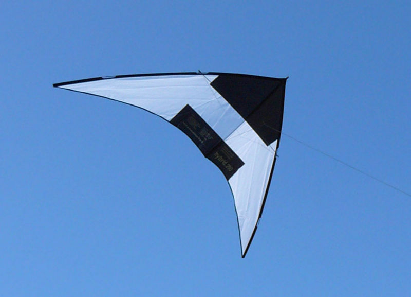 Datei:Hybrid 200.jpg