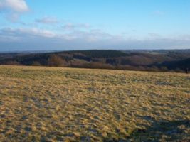 Panorama Scharpenacken Jan. 2008