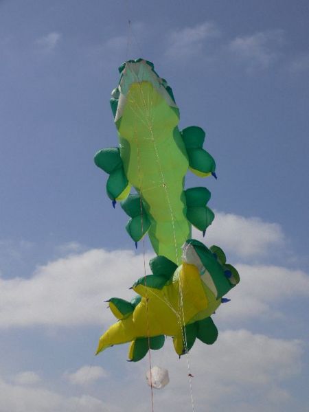 Datei:Krokodile.jpg