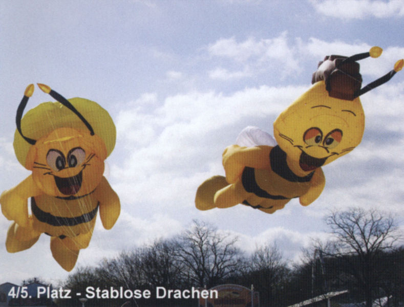 Datei:Hoch Hinaus 2004-3 Drachenmeisterschaft 16.jpg